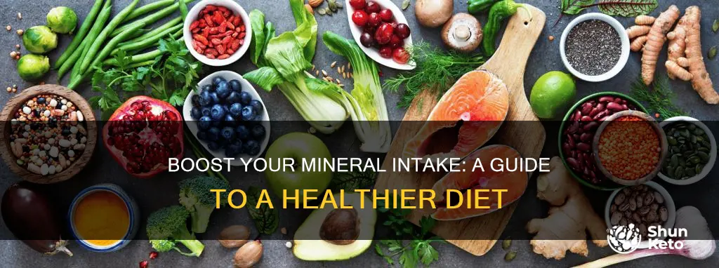 how to increase minerals in diet