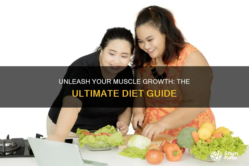 how to increase muscle mass diet