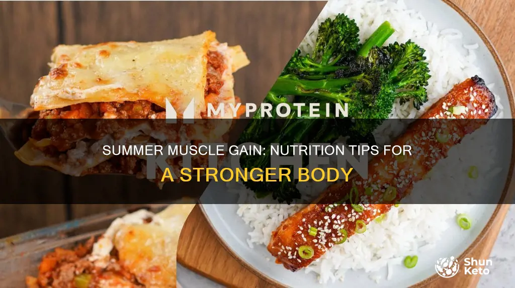 how to increase muscles in body diet in summer