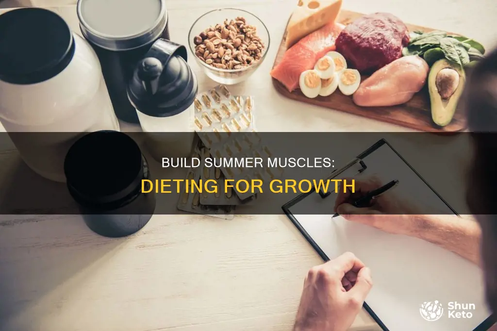 how to increase muscles in body diet in summer
