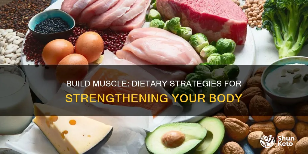 how to increase muscles in body diet