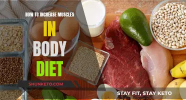 Building Muscle: The Role of a Proper Diet