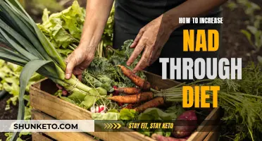 Boost NAD+ Levels: The Power of Dietary Choices