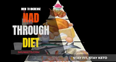 Boosting NAD Levels: The Dietary Approach