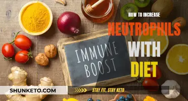 Boosting Neutrophils: The Role of a Healthy Diet