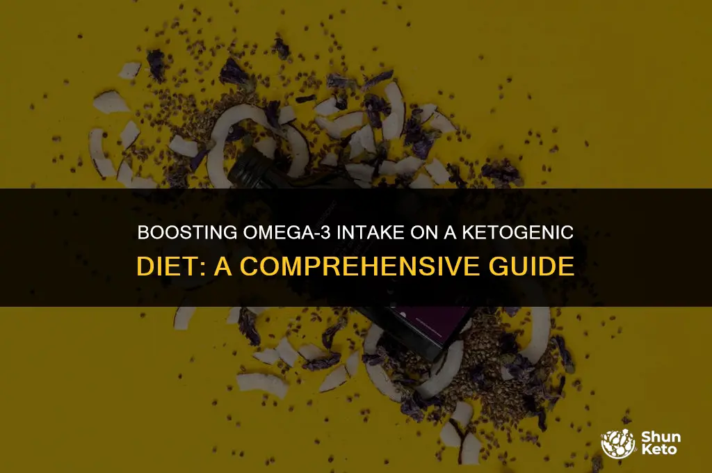 how to increase omega 3 on keto
