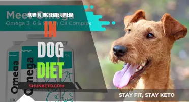 Enhancing Omega in Your Dog's Diet: A Comprehensive Guide
