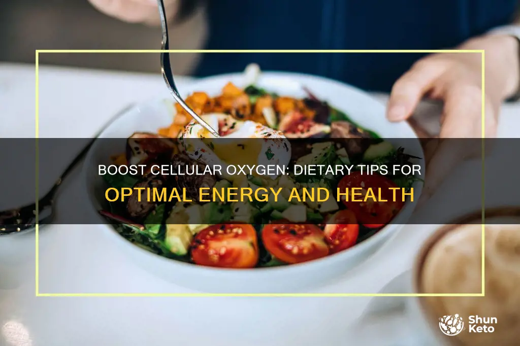 how to increase oxygen at the cellular level with diet