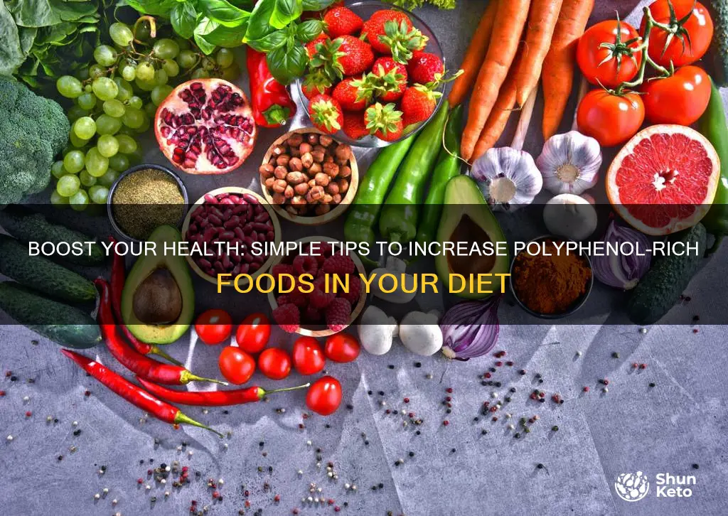 how to increase polyphenols in diet