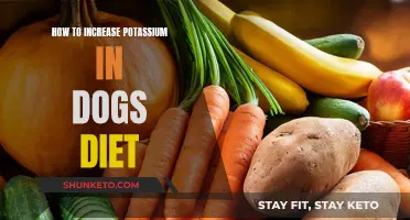 Enhancing Your Dog's Diet with Potassium-Rich Foods