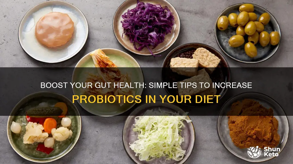 how to increase probiotics in diet