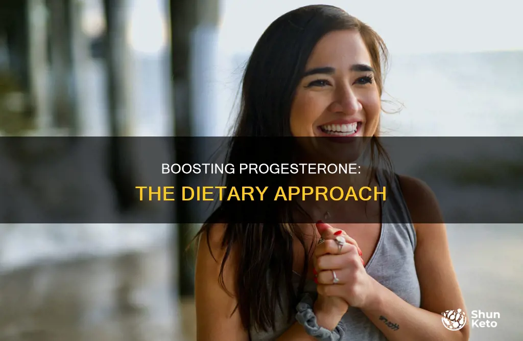 how to increase progesterone diet