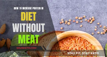 Boosting Protein Intake: Meat-Free Diet Strategies
