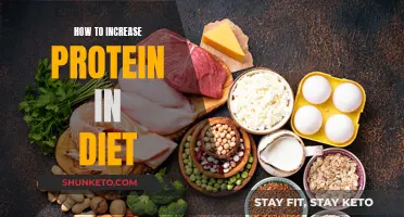 Boosting Your Protein Intake: A Guide to Protein-Rich Dieting