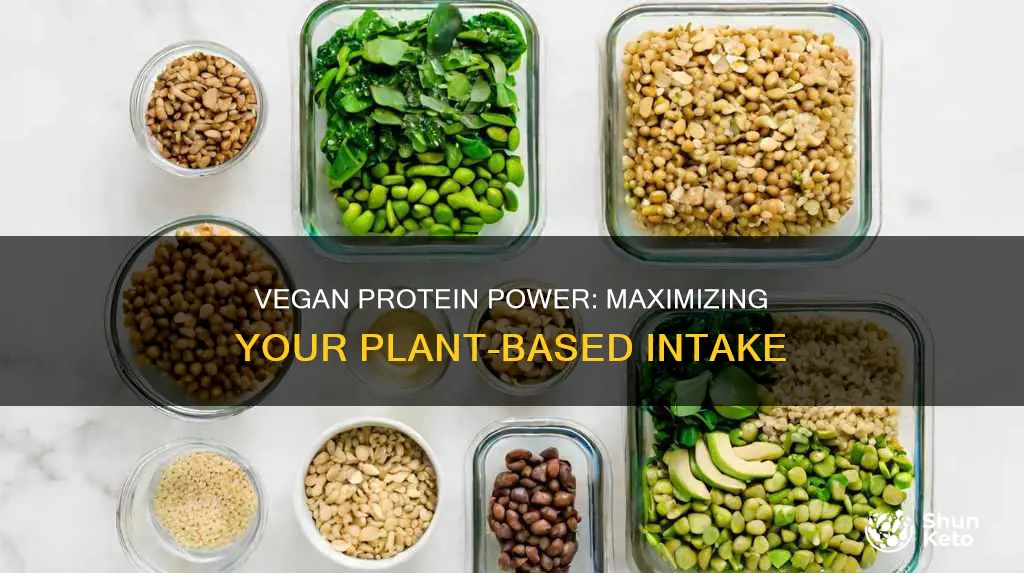 how to increase protein intake in vegan diet