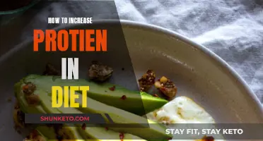 Increasing Dietary Protein: A Guide to Healthy Eating