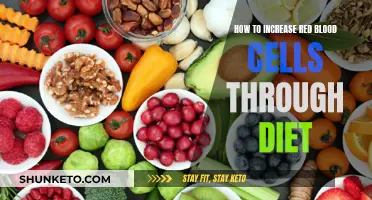 Boost Your Red Blood Cells: Dietary Tips for Optimal Oxygen Delivery