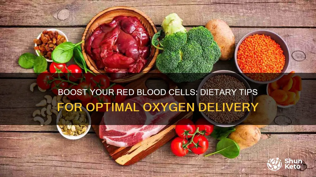 how to increase red blood cells through diet