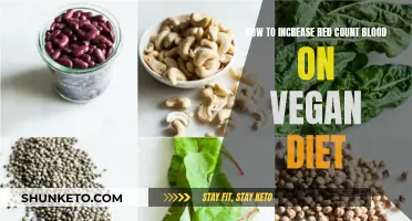 Boosting Red Blood Count: Vegan Diet Strategies