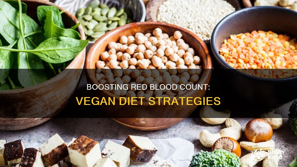 how to increase red count blood on vegan diet