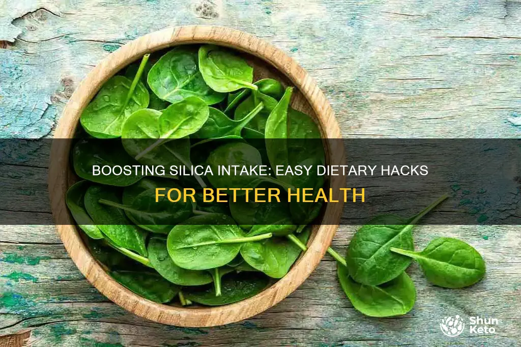how to increase silica in diet