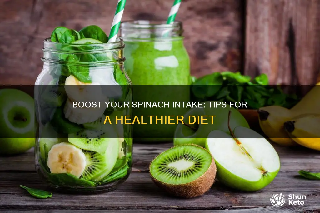 how to increase spinach in diet