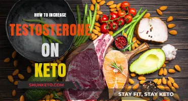 Boosting Testosterone Levels While Following a Keto Diet