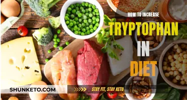 Boosting Tryptophan Intake: Effective Dietary Strategies and Protocols