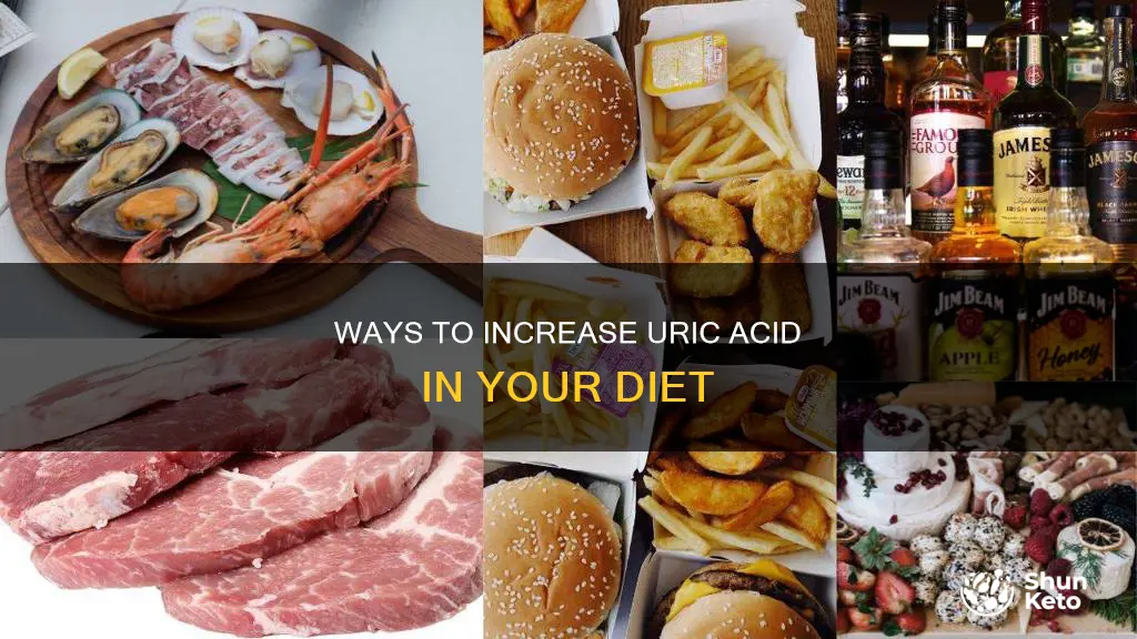 how to increase uric acid in diet