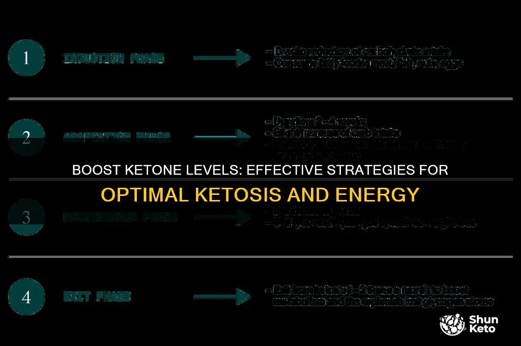 how to increase your ketones