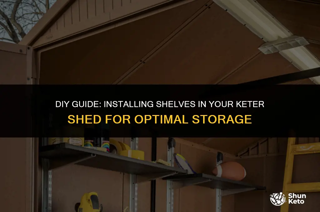 how to install shelves in a keter shed