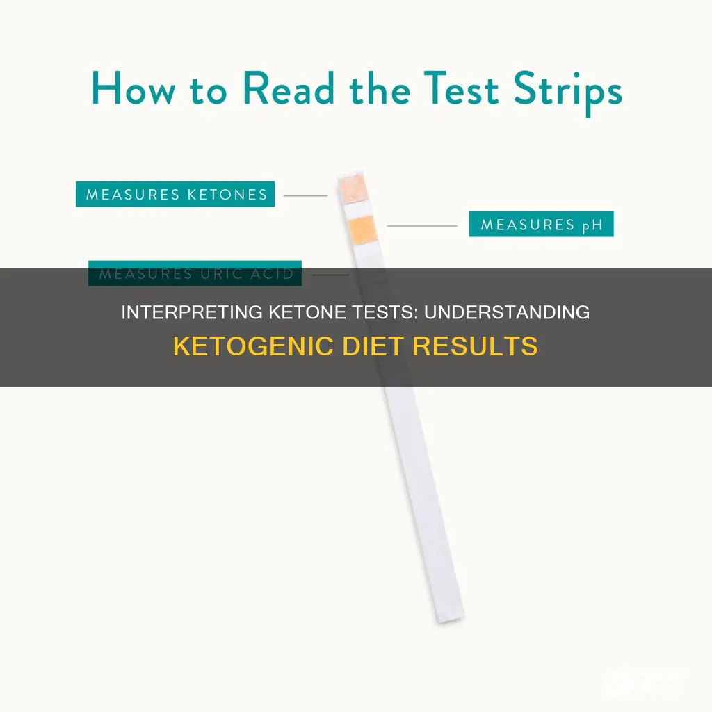 how to interpret test for ketones for a ketogenic diet
