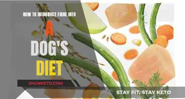 Fibre-Rich Foods: A Dog's Guide to Healthy Digestion