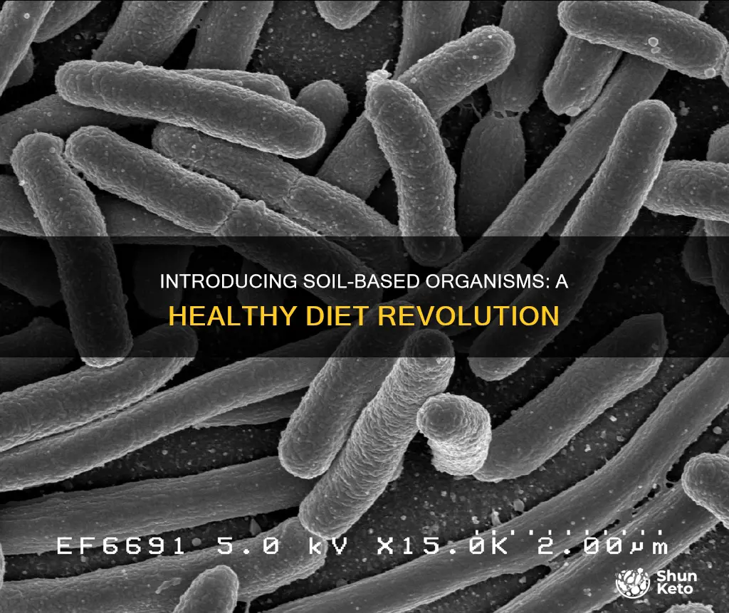 how to introduce soil based organisms into your diet