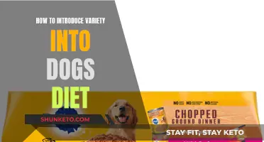 Ways to Diversify Your Dog's Diet for Better Health