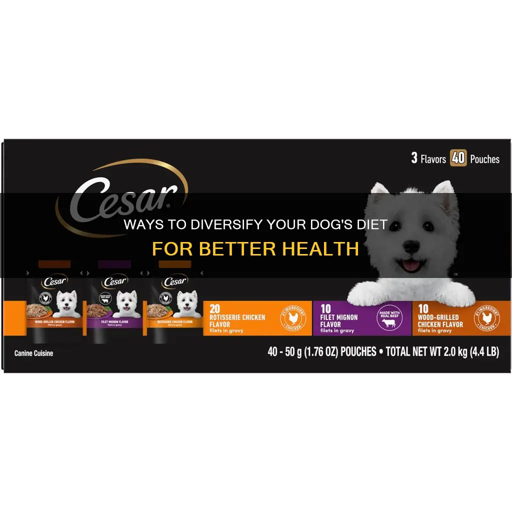 how to introduce variety into dogs diet