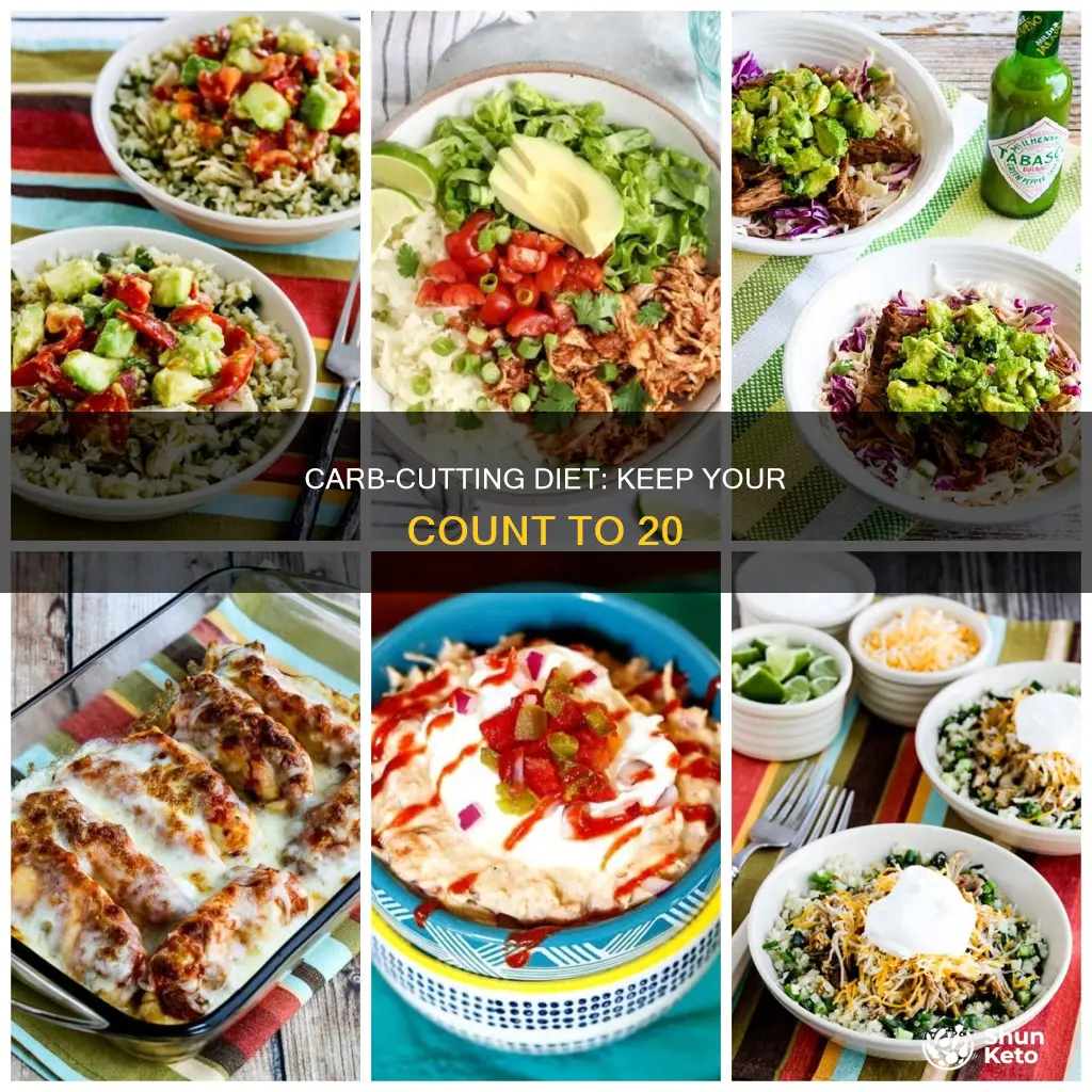 how to keep diet to 20 carbs
