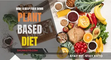 Fiber-Friendly Strategies for a Plant-Based Diet