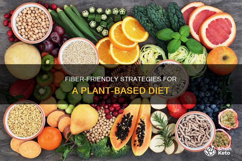 how to keep fiber down plant based diet