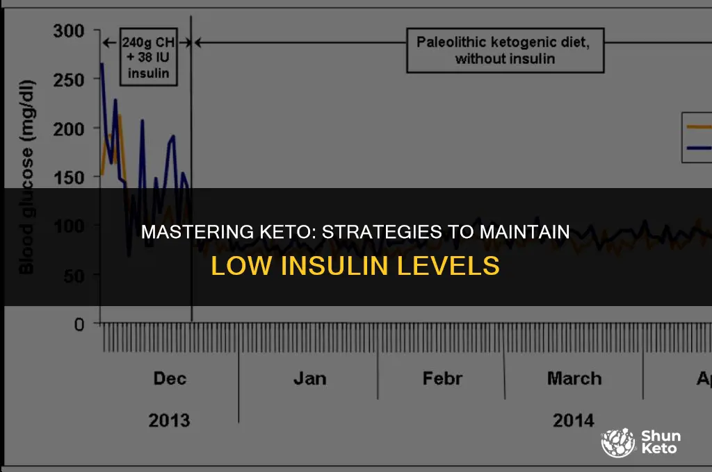 how to keep insulin low on keto