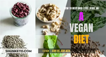 Vegan Diet: Maintaining Healthy Iron Levels