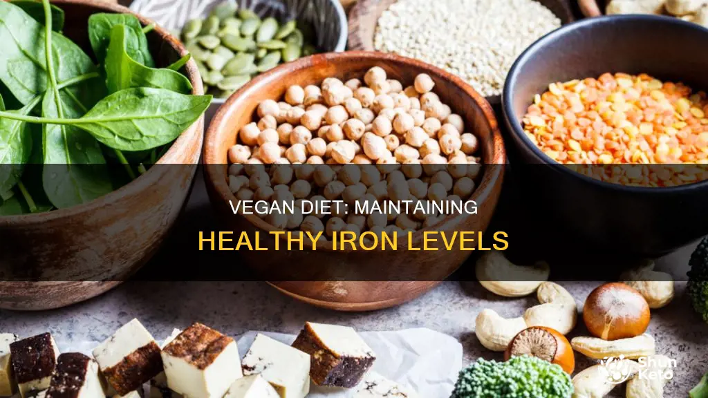 how to keep iron level stuff on a vegan diet