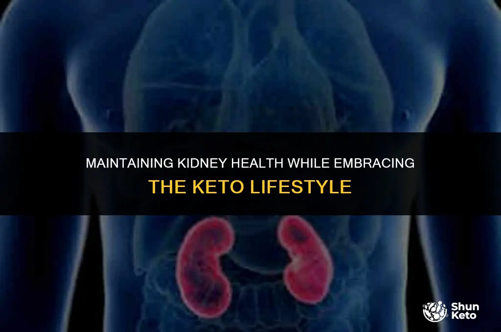 how to keep kidneys healthy during keto