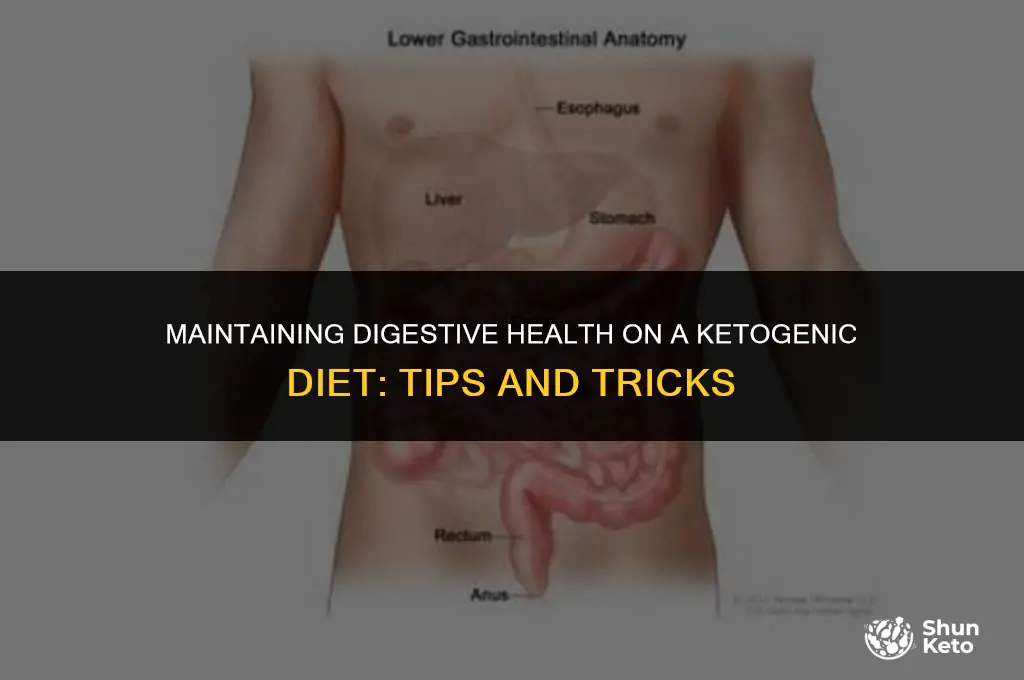 how to keep pooping on keto
