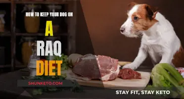 Raw Dieting: Keeping Your Dog Healthy and Happy
