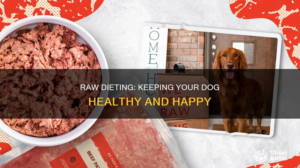 how to keep your dog on a raq diet