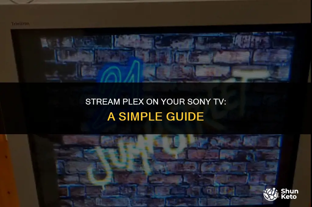 how to ket plex on you sony tv
