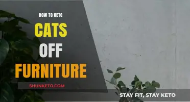 Feline Furniture Freedom: A Keto Guide for Cat Owners