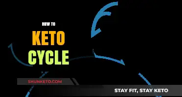 Mastering the Keto Cycle: A Beginner's Guide to Ketogenic Dieting