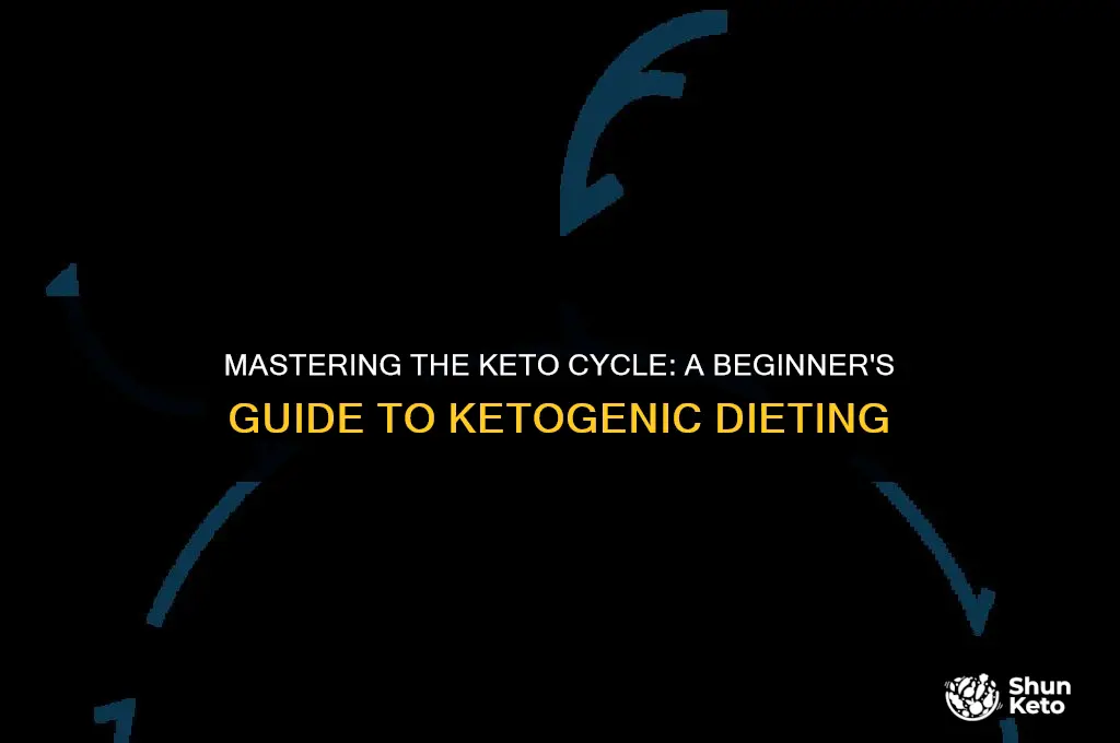 how to keto cycle